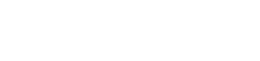 DVP Logo